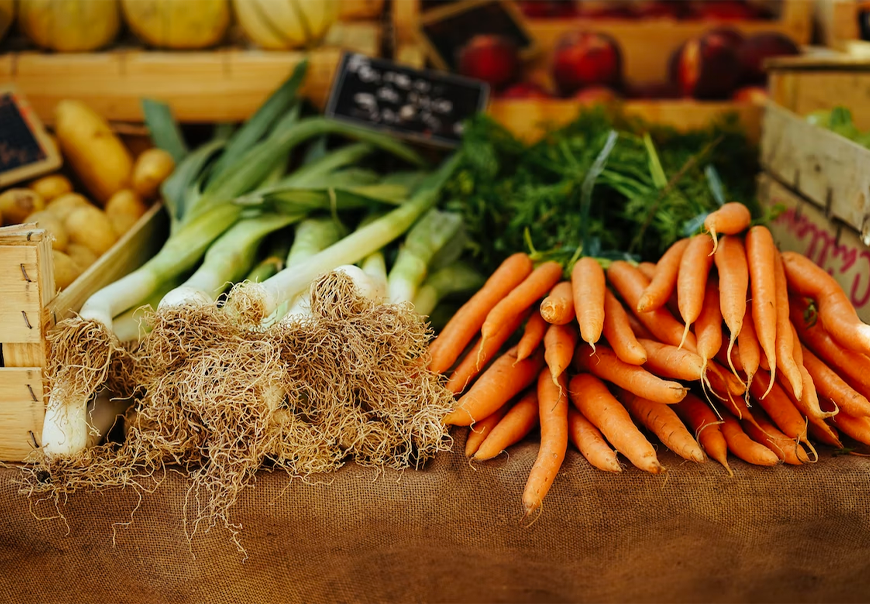 01ca762e-d10a-44b0-9e0b-a2668279d9f6